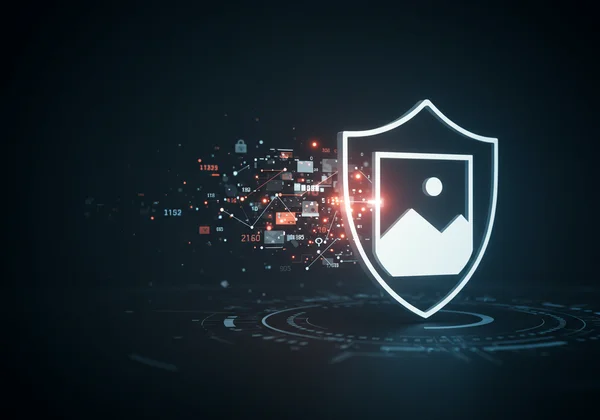Shield protecting a photo from digital data leaks